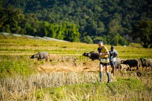 BIB: 
                            <button type="button" onclick="openModal(19127575)" class="btn btn-primary btn-sm float-right btn-popup" data-toggle="modal" data-target=".modal-high-quality">
                        <i class="fas fa-shopping-cart"></i> Add to Cart
                    </button>
                                            <button type="button" onclick="isThisMe(19127575, true)" class="btn btn-success btn-sm float-right btn-popup btn-isme hidden" data-toggle="tooltip" data-placement="bottom" title="นี่คือรูปของคุณใช่ไหม คลิกที่นี่เพื่อเอาเข้าอัลบั้ม">
                        <i class="fas fa-plus"></i> Add to album
                    </button>
                    <button type="button" onclick="isThisMe(19127575, false)" class="btn btn-warning btn-sm float-right btn-popup btn-isnotme hidden">
                        <i class="fas fa-ban"></i> Remove from album
                    </button>