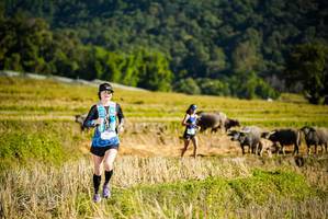 BIB: 
                            <button type="button" onclick="openModal(19127603)" class="btn btn-primary btn-sm float-right btn-popup" data-toggle="modal" data-target=".modal-high-quality">
                        <i class="fas fa-shopping-cart"></i> Add to Cart
                    </button>
                                            <button type="button" onclick="isThisMe(19127603, true)" class="btn btn-success btn-sm float-right btn-popup btn-isme hidden" data-toggle="tooltip" data-placement="bottom" title="นี่คือรูปของคุณใช่ไหม คลิกที่นี่เพื่อเอาเข้าอัลบั้ม">
                        <i class="fas fa-plus"></i> Add to album
                    </button>
                    <button type="button" onclick="isThisMe(19127603, false)" class="btn btn-warning btn-sm float-right btn-popup btn-isnotme hidden">
                        <i class="fas fa-ban"></i> Remove from album
                    </button>