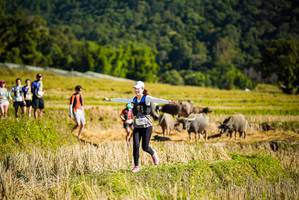 BIB: 
                            <button type="button" onclick="openModal(19128065)" class="btn btn-primary btn-sm float-right btn-popup" data-toggle="modal" data-target=".modal-high-quality">
                        <i class="fas fa-shopping-cart"></i> Add to Cart
                    </button>
                                            <button type="button" onclick="isThisMe(19128065, true)" class="btn btn-success btn-sm float-right btn-popup btn-isme hidden" data-toggle="tooltip" data-placement="bottom" title="นี่คือรูปของคุณใช่ไหม คลิกที่นี่เพื่อเอาเข้าอัลบั้ม">
                        <i class="fas fa-plus"></i> Add to album
                    </button>
                    <button type="button" onclick="isThisMe(19128065, false)" class="btn btn-warning btn-sm float-right btn-popup btn-isnotme hidden">
                        <i class="fas fa-ban"></i> Remove from album
                    </button>