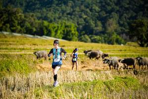 BIB: 
                            <button type="button" onclick="openModal(19127600)" class="btn btn-primary btn-sm float-right btn-popup" data-toggle="modal" data-target=".modal-high-quality">
                        <i class="fas fa-shopping-cart"></i> Add to Cart
                    </button>
                                            <button type="button" onclick="isThisMe(19127600, true)" class="btn btn-success btn-sm float-right btn-popup btn-isme hidden" data-toggle="tooltip" data-placement="bottom" title="นี่คือรูปของคุณใช่ไหม คลิกที่นี่เพื่อเอาเข้าอัลบั้ม">
                        <i class="fas fa-plus"></i> Add to album
                    </button>
                    <button type="button" onclick="isThisMe(19127600, false)" class="btn btn-warning btn-sm float-right btn-popup btn-isnotme hidden">
                        <i class="fas fa-ban"></i> Remove from album
                    </button>