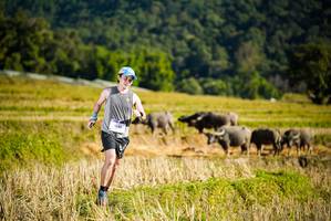 BIB: 446, 1585
                            <button type="button" onclick="openModal(19127673)" class="btn btn-primary btn-sm float-right btn-popup" data-toggle="modal" data-target=".modal-high-quality">
                        <i class="fas fa-shopping-cart"></i> Add to Cart
                    </button>
                                            <button type="button" onclick="isThisMe(19127673, true)" class="btn btn-success btn-sm float-right btn-popup btn-isme hidden" data-toggle="tooltip" data-placement="bottom" title="นี่คือรูปของคุณใช่ไหม คลิกที่นี่เพื่อเอาเข้าอัลบั้ม">
                        <i class="fas fa-plus"></i> Add to album
                    </button>
                    <button type="button" onclick="isThisMe(19127673, false)" class="btn btn-warning btn-sm float-right btn-popup btn-isnotme hidden">
                        <i class="fas fa-ban"></i> Remove from album
                    </button>