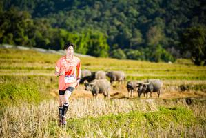 BIB: 
                            <button type="button" onclick="openModal(19127448)" class="btn btn-primary btn-sm float-right btn-popup" data-toggle="modal" data-target=".modal-high-quality">
                        <i class="fas fa-shopping-cart"></i> Add to Cart
                    </button>
                                            <button type="button" onclick="isThisMe(19127448, true)" class="btn btn-success btn-sm float-right btn-popup btn-isme hidden" data-toggle="tooltip" data-placement="bottom" title="นี่คือรูปของคุณใช่ไหม คลิกที่นี่เพื่อเอาเข้าอัลบั้ม">
                        <i class="fas fa-plus"></i> Add to album
                    </button>
                    <button type="button" onclick="isThisMe(19127448, false)" class="btn btn-warning btn-sm float-right btn-popup btn-isnotme hidden">
                        <i class="fas fa-ban"></i> Remove from album
                    </button>