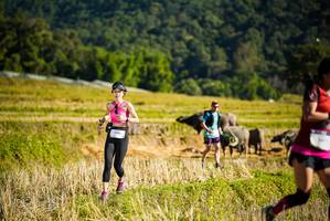 BIB: 1025, 
                            <button type="button" onclick="openModal(19127713)" class="btn btn-primary btn-sm float-right btn-popup" data-toggle="modal" data-target=".modal-high-quality">
                        <i class="fas fa-shopping-cart"></i> Add to Cart
                    </button>
                                            <button type="button" onclick="isThisMe(19127713, true)" class="btn btn-success btn-sm float-right btn-popup btn-isme hidden" data-toggle="tooltip" data-placement="bottom" title="นี่คือรูปของคุณใช่ไหม คลิกที่นี่เพื่อเอาเข้าอัลบั้ม">
                        <i class="fas fa-plus"></i> Add to album
                    </button>
                    <button type="button" onclick="isThisMe(19127713, false)" class="btn btn-warning btn-sm float-right btn-popup btn-isnotme hidden">
                        <i class="fas fa-ban"></i> Remove from album
                    </button>