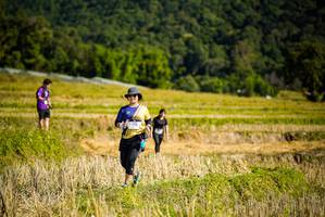 BIB: 
                            <button type="button" onclick="openModal(19129618)" class="btn btn-primary btn-sm float-right btn-popup" data-toggle="modal" data-target=".modal-high-quality">
                        <i class="fas fa-shopping-cart"></i> Add to Cart
                    </button>
                                            <button type="button" onclick="isThisMe(19129618, true)" class="btn btn-success btn-sm float-right btn-popup btn-isme hidden" data-toggle="tooltip" data-placement="bottom" title="นี่คือรูปของคุณใช่ไหม คลิกที่นี่เพื่อเอาเข้าอัลบั้ม">
                        <i class="fas fa-plus"></i> Add to album
                    </button>
                    <button type="button" onclick="isThisMe(19129618, false)" class="btn btn-warning btn-sm float-right btn-popup btn-isnotme hidden">
                        <i class="fas fa-ban"></i> Remove from album
                    </button>