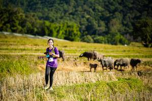 BIB: 
                            <button type="button" onclick="openModal(19128223)" class="btn btn-primary btn-sm float-right btn-popup" data-toggle="modal" data-target=".modal-high-quality">
                        <i class="fas fa-shopping-cart"></i> Add to Cart
                    </button>
                                            <button type="button" onclick="isThisMe(19128223, true)" class="btn btn-success btn-sm float-right btn-popup btn-isme hidden" data-toggle="tooltip" data-placement="bottom" title="นี่คือรูปของคุณใช่ไหม คลิกที่นี่เพื่อเอาเข้าอัลบั้ม">
                        <i class="fas fa-plus"></i> Add to album
                    </button>
                    <button type="button" onclick="isThisMe(19128223, false)" class="btn btn-warning btn-sm float-right btn-popup btn-isnotme hidden">
                        <i class="fas fa-ban"></i> Remove from album
                    </button>