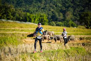 BIB: 
                            <button type="button" onclick="openModal(19127953)" class="btn btn-primary btn-sm float-right btn-popup" data-toggle="modal" data-target=".modal-high-quality">
                        <i class="fas fa-shopping-cart"></i> Add to Cart
                    </button>
                                            <button type="button" onclick="isThisMe(19127953, true)" class="btn btn-success btn-sm float-right btn-popup btn-isme hidden" data-toggle="tooltip" data-placement="bottom" title="นี่คือรูปของคุณใช่ไหม คลิกที่นี่เพื่อเอาเข้าอัลบั้ม">
                        <i class="fas fa-plus"></i> Add to album
                    </button>
                    <button type="button" onclick="isThisMe(19127953, false)" class="btn btn-warning btn-sm float-right btn-popup btn-isnotme hidden">
                        <i class="fas fa-ban"></i> Remove from album
                    </button>