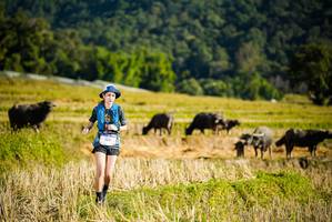 BIB: 
                            <button type="button" onclick="openModal(19127550)" class="btn btn-primary btn-sm float-right btn-popup" data-toggle="modal" data-target=".modal-high-quality">
                        <i class="fas fa-shopping-cart"></i> Add to Cart
                    </button>
                                            <button type="button" onclick="isThisMe(19127550, true)" class="btn btn-success btn-sm float-right btn-popup btn-isme hidden" data-toggle="tooltip" data-placement="bottom" title="นี่คือรูปของคุณใช่ไหม คลิกที่นี่เพื่อเอาเข้าอัลบั้ม">
                        <i class="fas fa-plus"></i> Add to album
                    </button>
                    <button type="button" onclick="isThisMe(19127550, false)" class="btn btn-warning btn-sm float-right btn-popup btn-isnotme hidden">
                        <i class="fas fa-ban"></i> Remove from album
                    </button>