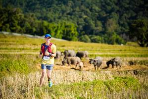 BIB: 
                            <button type="button" onclick="openModal(19127942)" class="btn btn-primary btn-sm float-right btn-popup" data-toggle="modal" data-target=".modal-high-quality">
                        <i class="fas fa-shopping-cart"></i> Add to Cart
                    </button>
                                            <button type="button" onclick="isThisMe(19127942, true)" class="btn btn-success btn-sm float-right btn-popup btn-isme hidden" data-toggle="tooltip" data-placement="bottom" title="นี่คือรูปของคุณใช่ไหม คลิกที่นี่เพื่อเอาเข้าอัลบั้ม">
                        <i class="fas fa-plus"></i> Add to album
                    </button>
                    <button type="button" onclick="isThisMe(19127942, false)" class="btn btn-warning btn-sm float-right btn-popup btn-isnotme hidden">
                        <i class="fas fa-ban"></i> Remove from album
                    </button>