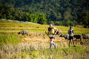 BIB: 
                            <button type="button" onclick="openModal(19127576)" class="btn btn-primary btn-sm float-right btn-popup" data-toggle="modal" data-target=".modal-high-quality">
                        <i class="fas fa-shopping-cart"></i> Add to Cart
                    </button>
                                            <button type="button" onclick="isThisMe(19127576, true)" class="btn btn-success btn-sm float-right btn-popup btn-isme hidden" data-toggle="tooltip" data-placement="bottom" title="นี่คือรูปของคุณใช่ไหม คลิกที่นี่เพื่อเอาเข้าอัลบั้ม">
                        <i class="fas fa-plus"></i> Add to album
                    </button>
                    <button type="button" onclick="isThisMe(19127576, false)" class="btn btn-warning btn-sm float-right btn-popup btn-isnotme hidden">
                        <i class="fas fa-ban"></i> Remove from album
                    </button>