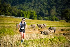 BIB: 
                            <button type="button" onclick="openModal(19127501)" class="btn btn-primary btn-sm float-right btn-popup" data-toggle="modal" data-target=".modal-high-quality">
                        <i class="fas fa-shopping-cart"></i> Add to Cart
                    </button>
                                            <button type="button" onclick="isThisMe(19127501, true)" class="btn btn-success btn-sm float-right btn-popup btn-isme hidden" data-toggle="tooltip" data-placement="bottom" title="นี่คือรูปของคุณใช่ไหม คลิกที่นี่เพื่อเอาเข้าอัลบั้ม">
                        <i class="fas fa-plus"></i> Add to album
                    </button>
                    <button type="button" onclick="isThisMe(19127501, false)" class="btn btn-warning btn-sm float-right btn-popup btn-isnotme hidden">
                        <i class="fas fa-ban"></i> Remove from album
                    </button>