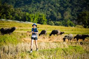 BIB: 1001
                            <button type="button" onclick="openModal(19127546)" class="btn btn-primary btn-sm float-right btn-popup" data-toggle="modal" data-target=".modal-high-quality">
                        <i class="fas fa-shopping-cart"></i> Add to Cart
                    </button>
                                            <button type="button" onclick="isThisMe(19127546, true)" class="btn btn-success btn-sm float-right btn-popup btn-isme hidden" data-toggle="tooltip" data-placement="bottom" title="นี่คือรูปของคุณใช่ไหม คลิกที่นี่เพื่อเอาเข้าอัลบั้ม">
                        <i class="fas fa-plus"></i> Add to album
                    </button>
                    <button type="button" onclick="isThisMe(19127546, false)" class="btn btn-warning btn-sm float-right btn-popup btn-isnotme hidden">
                        <i class="fas fa-ban"></i> Remove from album
                    </button>