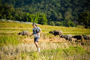 BIB: 
                            <button type="button" onclick="openModal(19127589)" class="btn btn-primary btn-sm float-right btn-popup" data-toggle="modal" data-target=".modal-high-quality">
                        <i class="fas fa-shopping-cart"></i> Add to Cart
                    </button>
                                            <button type="button" onclick="isThisMe(19127589, true)" class="btn btn-success btn-sm float-right btn-popup btn-isme hidden" data-toggle="tooltip" data-placement="bottom" title="นี่คือรูปของคุณใช่ไหม คลิกที่นี่เพื่อเอาเข้าอัลบั้ม">
                        <i class="fas fa-plus"></i> Add to album
                    </button>
                    <button type="button" onclick="isThisMe(19127589, false)" class="btn btn-warning btn-sm float-right btn-popup btn-isnotme hidden">
                        <i class="fas fa-ban"></i> Remove from album
                    </button>