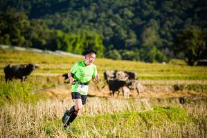 BIB: 
                            <button type="button" onclick="openModal(19127394)" class="btn btn-primary btn-sm float-right btn-popup" data-toggle="modal" data-target=".modal-high-quality">
                        <i class="fas fa-shopping-cart"></i> Add to Cart
                    </button>
                                            <button type="button" onclick="isThisMe(19127394, true)" class="btn btn-success btn-sm float-right btn-popup btn-isme hidden" data-toggle="tooltip" data-placement="bottom" title="นี่คือรูปของคุณใช่ไหม คลิกที่นี่เพื่อเอาเข้าอัลบั้ม">
                        <i class="fas fa-plus"></i> Add to album
                    </button>
                    <button type="button" onclick="isThisMe(19127394, false)" class="btn btn-warning btn-sm float-right btn-popup btn-isnotme hidden">
                        <i class="fas fa-ban"></i> Remove from album
                    </button>