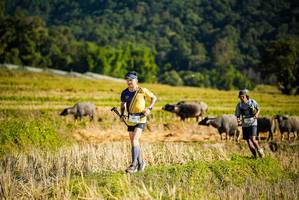 BIB: 
                            <button type="button" onclick="openModal(19127577)" class="btn btn-primary btn-sm float-right btn-popup" data-toggle="modal" data-target=".modal-high-quality">
                        <i class="fas fa-shopping-cart"></i> Add to Cart
                    </button>
                                            <button type="button" onclick="isThisMe(19127577, true)" class="btn btn-success btn-sm float-right btn-popup btn-isme hidden" data-toggle="tooltip" data-placement="bottom" title="นี่คือรูปของคุณใช่ไหม คลิกที่นี่เพื่อเอาเข้าอัลบั้ม">
                        <i class="fas fa-plus"></i> Add to album
                    </button>
                    <button type="button" onclick="isThisMe(19127577, false)" class="btn btn-warning btn-sm float-right btn-popup btn-isnotme hidden">
                        <i class="fas fa-ban"></i> Remove from album
                    </button>