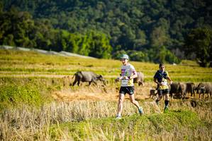 BIB: 
                            <button type="button" onclick="openModal(19127620)" class="btn btn-primary btn-sm float-right btn-popup" data-toggle="modal" data-target=".modal-high-quality">
                        <i class="fas fa-shopping-cart"></i> Add to Cart
                    </button>
                                            <button type="button" onclick="isThisMe(19127620, true)" class="btn btn-success btn-sm float-right btn-popup btn-isme hidden" data-toggle="tooltip" data-placement="bottom" title="นี่คือรูปของคุณใช่ไหม คลิกที่นี่เพื่อเอาเข้าอัลบั้ม">
                        <i class="fas fa-plus"></i> Add to album
                    </button>
                    <button type="button" onclick="isThisMe(19127620, false)" class="btn btn-warning btn-sm float-right btn-popup btn-isnotme hidden">
                        <i class="fas fa-ban"></i> Remove from album
                    </button>