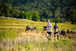 BIB: 
                            <button type="button" onclick="openModal(19127621)" class="btn btn-primary btn-sm float-right btn-popup" data-toggle="modal" data-target=".modal-high-quality">
                        <i class="fas fa-shopping-cart"></i> Add to Cart
                    </button>
                                            <button type="button" onclick="isThisMe(19127621, true)" class="btn btn-success btn-sm float-right btn-popup btn-isme hidden" data-toggle="tooltip" data-placement="bottom" title="นี่คือรูปของคุณใช่ไหม คลิกที่นี่เพื่อเอาเข้าอัลบั้ม">
                        <i class="fas fa-plus"></i> Add to album
                    </button>
                    <button type="button" onclick="isThisMe(19127621, false)" class="btn btn-warning btn-sm float-right btn-popup btn-isnotme hidden">
                        <i class="fas fa-ban"></i> Remove from album
                    </button>