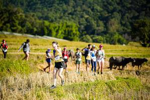 BIB: 
                            <button type="button" onclick="openModal(19128099)" class="btn btn-primary btn-sm float-right btn-popup" data-toggle="modal" data-target=".modal-high-quality">
                        <i class="fas fa-shopping-cart"></i> Add to Cart
                    </button>
                                            <button type="button" onclick="isThisMe(19128099, true)" class="btn btn-success btn-sm float-right btn-popup btn-isme hidden" data-toggle="tooltip" data-placement="bottom" title="นี่คือรูปของคุณใช่ไหม คลิกที่นี่เพื่อเอาเข้าอัลบั้ม">
                        <i class="fas fa-plus"></i> Add to album
                    </button>
                    <button type="button" onclick="isThisMe(19128099, false)" class="btn btn-warning btn-sm float-right btn-popup btn-isnotme hidden">
                        <i class="fas fa-ban"></i> Remove from album
                    </button>