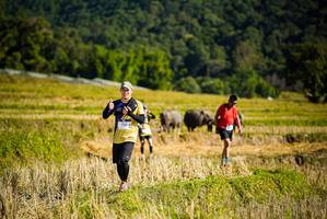 BIB: 1129
                            <button type="button" onclick="openModal(19128380)" class="btn btn-primary btn-sm float-right btn-popup" data-toggle="modal" data-target=".modal-high-quality">
                        <i class="fas fa-shopping-cart"></i> Add to Cart
                    </button>
                                            <button type="button" onclick="isThisMe(19128380, true)" class="btn btn-success btn-sm float-right btn-popup btn-isme hidden" data-toggle="tooltip" data-placement="bottom" title="นี่คือรูปของคุณใช่ไหม คลิกที่นี่เพื่อเอาเข้าอัลบั้ม">
                        <i class="fas fa-plus"></i> Add to album
                    </button>
                    <button type="button" onclick="isThisMe(19128380, false)" class="btn btn-warning btn-sm float-right btn-popup btn-isnotme hidden">
                        <i class="fas fa-ban"></i> Remove from album
                    </button>