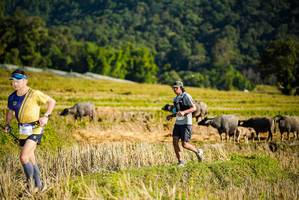 BIB: 
                            <button type="button" onclick="openModal(19127583)" class="btn btn-primary btn-sm float-right btn-popup" data-toggle="modal" data-target=".modal-high-quality">
                        <i class="fas fa-shopping-cart"></i> Add to Cart
                    </button>
                                            <button type="button" onclick="isThisMe(19127583, true)" class="btn btn-success btn-sm float-right btn-popup btn-isme hidden" data-toggle="tooltip" data-placement="bottom" title="นี่คือรูปของคุณใช่ไหม คลิกที่นี่เพื่อเอาเข้าอัลบั้ม">
                        <i class="fas fa-plus"></i> Add to album
                    </button>
                    <button type="button" onclick="isThisMe(19127583, false)" class="btn btn-warning btn-sm float-right btn-popup btn-isnotme hidden">
                        <i class="fas fa-ban"></i> Remove from album
                    </button>