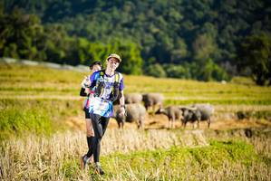 BIB: 1012
                            <button type="button" onclick="openModal(19127437)" class="btn btn-primary btn-sm float-right btn-popup" data-toggle="modal" data-target=".modal-high-quality">
                        <i class="fas fa-shopping-cart"></i> Add to Cart
                    </button>
                                            <button type="button" onclick="isThisMe(19127437, true)" class="btn btn-success btn-sm float-right btn-popup btn-isme hidden" data-toggle="tooltip" data-placement="bottom" title="นี่คือรูปของคุณใช่ไหม คลิกที่นี่เพื่อเอาเข้าอัลบั้ม">
                        <i class="fas fa-plus"></i> Add to album
                    </button>
                    <button type="button" onclick="isThisMe(19127437, false)" class="btn btn-warning btn-sm float-right btn-popup btn-isnotme hidden">
                        <i class="fas fa-ban"></i> Remove from album
                    </button>