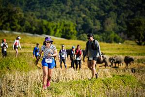 BIB: 1563
                            <button type="button" onclick="openModal(19128130)" class="btn btn-primary btn-sm float-right btn-popup" data-toggle="modal" data-target=".modal-high-quality">
                        <i class="fas fa-shopping-cart"></i> Add to Cart
                    </button>
                                            <button type="button" onclick="isThisMe(19128130, true)" class="btn btn-success btn-sm float-right btn-popup btn-isme hidden" data-toggle="tooltip" data-placement="bottom" title="นี่คือรูปของคุณใช่ไหม คลิกที่นี่เพื่อเอาเข้าอัลบั้ม">
                        <i class="fas fa-plus"></i> Add to album
                    </button>
                    <button type="button" onclick="isThisMe(19128130, false)" class="btn btn-warning btn-sm float-right btn-popup btn-isnotme hidden">
                        <i class="fas fa-ban"></i> Remove from album
                    </button>