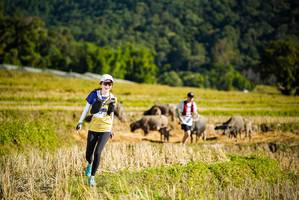 BIB: 
                            <button type="button" onclick="openModal(19127919)" class="btn btn-primary btn-sm float-right btn-popup" data-toggle="modal" data-target=".modal-high-quality">
                        <i class="fas fa-shopping-cart"></i> Add to Cart
                    </button>
                                            <button type="button" onclick="isThisMe(19127919, true)" class="btn btn-success btn-sm float-right btn-popup btn-isme hidden" data-toggle="tooltip" data-placement="bottom" title="นี่คือรูปของคุณใช่ไหม คลิกที่นี่เพื่อเอาเข้าอัลบั้ม">
                        <i class="fas fa-plus"></i> Add to album
                    </button>
                    <button type="button" onclick="isThisMe(19127919, false)" class="btn btn-warning btn-sm float-right btn-popup btn-isnotme hidden">
                        <i class="fas fa-ban"></i> Remove from album
                    </button>