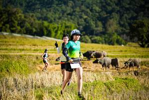 BIB: 
                            <button type="button" onclick="openModal(19127797)" class="btn btn-primary btn-sm float-right btn-popup" data-toggle="modal" data-target=".modal-high-quality">
                        <i class="fas fa-shopping-cart"></i> Add to Cart
                    </button>
                                            <button type="button" onclick="isThisMe(19127797, true)" class="btn btn-success btn-sm float-right btn-popup btn-isme hidden" data-toggle="tooltip" data-placement="bottom" title="นี่คือรูปของคุณใช่ไหม คลิกที่นี่เพื่อเอาเข้าอัลบั้ม">
                        <i class="fas fa-plus"></i> Add to album
                    </button>
                    <button type="button" onclick="isThisMe(19127797, false)" class="btn btn-warning btn-sm float-right btn-popup btn-isnotme hidden">
                        <i class="fas fa-ban"></i> Remove from album
                    </button>