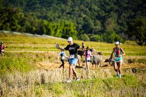 BIB: 
                            <button type="button" onclick="openModal(19128051)" class="btn btn-primary btn-sm float-right btn-popup" data-toggle="modal" data-target=".modal-high-quality">
                        <i class="fas fa-shopping-cart"></i> Add to Cart
                    </button>
                                            <button type="button" onclick="isThisMe(19128051, true)" class="btn btn-success btn-sm float-right btn-popup btn-isme hidden" data-toggle="tooltip" data-placement="bottom" title="นี่คือรูปของคุณใช่ไหม คลิกที่นี่เพื่อเอาเข้าอัลบั้ม">
                        <i class="fas fa-plus"></i> Add to album
                    </button>
                    <button type="button" onclick="isThisMe(19128051, false)" class="btn btn-warning btn-sm float-right btn-popup btn-isnotme hidden">
                        <i class="fas fa-ban"></i> Remove from album
                    </button>