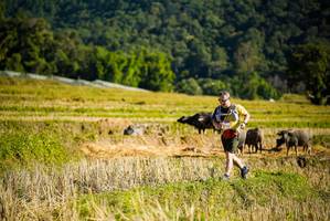 BIB: 
                            <button type="button" onclick="openModal(19127763)" class="btn btn-primary btn-sm float-right btn-popup" data-toggle="modal" data-target=".modal-high-quality">
                        <i class="fas fa-shopping-cart"></i> Add to Cart
                    </button>
                                            <button type="button" onclick="isThisMe(19127763, true)" class="btn btn-success btn-sm float-right btn-popup btn-isme hidden" data-toggle="tooltip" data-placement="bottom" title="นี่คือรูปของคุณใช่ไหม คลิกที่นี่เพื่อเอาเข้าอัลบั้ม">
                        <i class="fas fa-plus"></i> Add to album
                    </button>
                    <button type="button" onclick="isThisMe(19127763, false)" class="btn btn-warning btn-sm float-right btn-popup btn-isnotme hidden">
                        <i class="fas fa-ban"></i> Remove from album
                    </button>