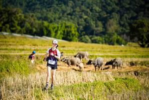 BIB: 1453
                            <button type="button" onclick="openModal(19127934)" class="btn btn-primary btn-sm float-right btn-popup" data-toggle="modal" data-target=".modal-high-quality">
                        <i class="fas fa-shopping-cart"></i> Add to Cart
                    </button>
                                            <button type="button" onclick="isThisMe(19127934, true)" class="btn btn-success btn-sm float-right btn-popup btn-isme hidden" data-toggle="tooltip" data-placement="bottom" title="นี่คือรูปของคุณใช่ไหม คลิกที่นี่เพื่อเอาเข้าอัลบั้ม">
                        <i class="fas fa-plus"></i> Add to album
                    </button>
                    <button type="button" onclick="isThisMe(19127934, false)" class="btn btn-warning btn-sm float-right btn-popup btn-isnotme hidden">
                        <i class="fas fa-ban"></i> Remove from album
                    </button>