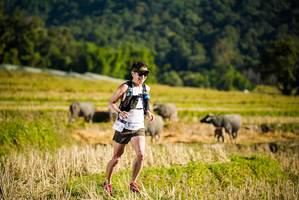 BIB: 100
                            <button type="button" onclick="openModal(19127477)" class="btn btn-primary btn-sm float-right btn-popup" data-toggle="modal" data-target=".modal-high-quality">
                        <i class="fas fa-shopping-cart"></i> Add to Cart
                    </button>
                                            <button type="button" onclick="isThisMe(19127477, true)" class="btn btn-success btn-sm float-right btn-popup btn-isme hidden" data-toggle="tooltip" data-placement="bottom" title="นี่คือรูปของคุณใช่ไหม คลิกที่นี่เพื่อเอาเข้าอัลบั้ม">
                        <i class="fas fa-plus"></i> Add to album
                    </button>
                    <button type="button" onclick="isThisMe(19127477, false)" class="btn btn-warning btn-sm float-right btn-popup btn-isnotme hidden">
                        <i class="fas fa-ban"></i> Remove from album
                    </button>