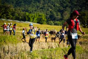 BIB: 
                            <button type="button" onclick="openModal(19128141)" class="btn btn-primary btn-sm float-right btn-popup" data-toggle="modal" data-target=".modal-high-quality">
                        <i class="fas fa-shopping-cart"></i> Add to Cart
                    </button>
                                            <button type="button" onclick="isThisMe(19128141, true)" class="btn btn-success btn-sm float-right btn-popup btn-isme hidden" data-toggle="tooltip" data-placement="bottom" title="นี่คือรูปของคุณใช่ไหม คลิกที่นี่เพื่อเอาเข้าอัลบั้ม">
                        <i class="fas fa-plus"></i> Add to album
                    </button>
                    <button type="button" onclick="isThisMe(19128141, false)" class="btn btn-warning btn-sm float-right btn-popup btn-isnotme hidden">
                        <i class="fas fa-ban"></i> Remove from album
                    </button>