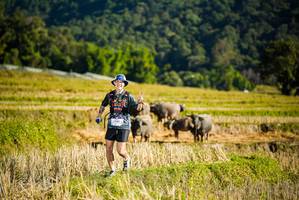 BIB: 1124
                            <button type="button" onclick="openModal(19127416)" class="btn btn-primary btn-sm float-right btn-popup" data-toggle="modal" data-target=".modal-high-quality">
                        <i class="fas fa-shopping-cart"></i> Add to Cart
                    </button>
                                            <button type="button" onclick="isThisMe(19127416, true)" class="btn btn-success btn-sm float-right btn-popup btn-isme hidden" data-toggle="tooltip" data-placement="bottom" title="นี่คือรูปของคุณใช่ไหม คลิกที่นี่เพื่อเอาเข้าอัลบั้ม">
                        <i class="fas fa-plus"></i> Add to album
                    </button>
                    <button type="button" onclick="isThisMe(19127416, false)" class="btn btn-warning btn-sm float-right btn-popup btn-isnotme hidden">
                        <i class="fas fa-ban"></i> Remove from album
                    </button>