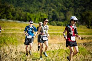 BIB: 1316
                            <button type="button" onclick="openModal(19129844)" class="btn btn-primary btn-sm float-right btn-popup" data-toggle="modal" data-target=".modal-high-quality">
                        <i class="fas fa-shopping-cart"></i> Add to Cart
                    </button>
                                            <button type="button" onclick="isThisMe(19129844, true)" class="btn btn-success btn-sm float-right btn-popup btn-isme hidden" data-toggle="tooltip" data-placement="bottom" title="นี่คือรูปของคุณใช่ไหม คลิกที่นี่เพื่อเอาเข้าอัลบั้ม">
                        <i class="fas fa-plus"></i> Add to album
                    </button>
                    <button type="button" onclick="isThisMe(19129844, false)" class="btn btn-warning btn-sm float-right btn-popup btn-isnotme hidden">
                        <i class="fas fa-ban"></i> Remove from album
                    </button>