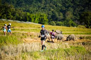 BIB: 
                            <button type="button" onclick="openModal(19128037)" class="btn btn-primary btn-sm float-right btn-popup" data-toggle="modal" data-target=".modal-high-quality">
                        <i class="fas fa-shopping-cart"></i> Add to Cart
                    </button>
                                            <button type="button" onclick="isThisMe(19128037, true)" class="btn btn-success btn-sm float-right btn-popup btn-isme hidden" data-toggle="tooltip" data-placement="bottom" title="นี่คือรูปของคุณใช่ไหม คลิกที่นี่เพื่อเอาเข้าอัลบั้ม">
                        <i class="fas fa-plus"></i> Add to album
                    </button>
                    <button type="button" onclick="isThisMe(19128037, false)" class="btn btn-warning btn-sm float-right btn-popup btn-isnotme hidden">
                        <i class="fas fa-ban"></i> Remove from album
                    </button>