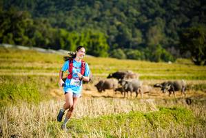 BIB: 1308
                            <button type="button" onclick="openModal(19127911)" class="btn btn-primary btn-sm float-right btn-popup" data-toggle="modal" data-target=".modal-high-quality">
                        <i class="fas fa-shopping-cart"></i> Add to Cart
                    </button>
                                            <button type="button" onclick="isThisMe(19127911, true)" class="btn btn-success btn-sm float-right btn-popup btn-isme hidden" data-toggle="tooltip" data-placement="bottom" title="นี่คือรูปของคุณใช่ไหม คลิกที่นี่เพื่อเอาเข้าอัลบั้ม">
                        <i class="fas fa-plus"></i> Add to album
                    </button>
                    <button type="button" onclick="isThisMe(19127911, false)" class="btn btn-warning btn-sm float-right btn-popup btn-isnotme hidden">
                        <i class="fas fa-ban"></i> Remove from album
                    </button>