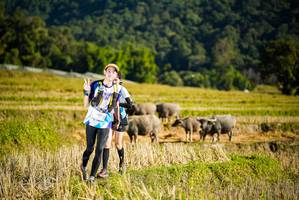 BIB: 1912
                            <button type="button" onclick="openModal(19127433)" class="btn btn-primary btn-sm float-right btn-popup" data-toggle="modal" data-target=".modal-high-quality">
                        <i class="fas fa-shopping-cart"></i> Add to Cart
                    </button>
                                            <button type="button" onclick="isThisMe(19127433, true)" class="btn btn-success btn-sm float-right btn-popup btn-isme hidden" data-toggle="tooltip" data-placement="bottom" title="นี่คือรูปของคุณใช่ไหม คลิกที่นี่เพื่อเอาเข้าอัลบั้ม">
                        <i class="fas fa-plus"></i> Add to album
                    </button>
                    <button type="button" onclick="isThisMe(19127433, false)" class="btn btn-warning btn-sm float-right btn-popup btn-isnotme hidden">
                        <i class="fas fa-ban"></i> Remove from album
                    </button>