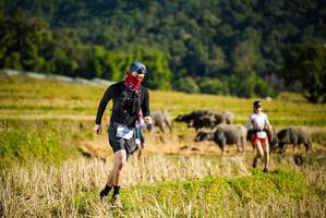 BIB: 123
                            <button type="button" onclick="openModal(19127657)" class="btn btn-primary btn-sm float-right btn-popup" data-toggle="modal" data-target=".modal-high-quality">
                        <i class="fas fa-shopping-cart"></i> Add to Cart
                    </button>
                                            <button type="button" onclick="isThisMe(19127657, true)" class="btn btn-success btn-sm float-right btn-popup btn-isme hidden" data-toggle="tooltip" data-placement="bottom" title="นี่คือรูปของคุณใช่ไหม คลิกที่นี่เพื่อเอาเข้าอัลบั้ม">
                        <i class="fas fa-plus"></i> Add to album
                    </button>
                    <button type="button" onclick="isThisMe(19127657, false)" class="btn btn-warning btn-sm float-right btn-popup btn-isnotme hidden">
                        <i class="fas fa-ban"></i> Remove from album
                    </button>