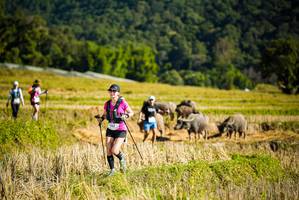 BIB: 
                            <button type="button" onclick="openModal(19128047)" class="btn btn-primary btn-sm float-right btn-popup" data-toggle="modal" data-target=".modal-high-quality">
                        <i class="fas fa-shopping-cart"></i> Add to Cart
                    </button>
                                            <button type="button" onclick="isThisMe(19128047, true)" class="btn btn-success btn-sm float-right btn-popup btn-isme hidden" data-toggle="tooltip" data-placement="bottom" title="นี่คือรูปของคุณใช่ไหม คลิกที่นี่เพื่อเอาเข้าอัลบั้ม">
                        <i class="fas fa-plus"></i> Add to album
                    </button>
                    <button type="button" onclick="isThisMe(19128047, false)" class="btn btn-warning btn-sm float-right btn-popup btn-isnotme hidden">
                        <i class="fas fa-ban"></i> Remove from album
                    </button>