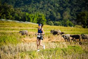 BIB: 
                            <button type="button" onclick="openModal(19127613)" class="btn btn-primary btn-sm float-right btn-popup" data-toggle="modal" data-target=".modal-high-quality">
                        <i class="fas fa-shopping-cart"></i> Add to Cart
                    </button>
                                            <button type="button" onclick="isThisMe(19127613, true)" class="btn btn-success btn-sm float-right btn-popup btn-isme hidden" data-toggle="tooltip" data-placement="bottom" title="นี่คือรูปของคุณใช่ไหม คลิกที่นี่เพื่อเอาเข้าอัลบั้ม">
                        <i class="fas fa-plus"></i> Add to album
                    </button>
                    <button type="button" onclick="isThisMe(19127613, false)" class="btn btn-warning btn-sm float-right btn-popup btn-isnotme hidden">
                        <i class="fas fa-ban"></i> Remove from album
                    </button>