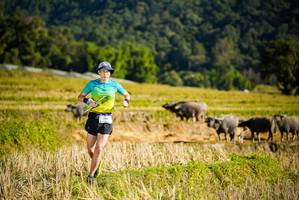 BIB: 151
                            <button type="button" onclick="openModal(19127570)" class="btn btn-primary btn-sm float-right btn-popup" data-toggle="modal" data-target=".modal-high-quality">
                        <i class="fas fa-shopping-cart"></i> Add to Cart
                    </button>
                                            <button type="button" onclick="isThisMe(19127570, true)" class="btn btn-success btn-sm float-right btn-popup btn-isme hidden" data-toggle="tooltip" data-placement="bottom" title="นี่คือรูปของคุณใช่ไหม คลิกที่นี่เพื่อเอาเข้าอัลบั้ม">
                        <i class="fas fa-plus"></i> Add to album
                    </button>
                    <button type="button" onclick="isThisMe(19127570, false)" class="btn btn-warning btn-sm float-right btn-popup btn-isnotme hidden">
                        <i class="fas fa-ban"></i> Remove from album
                    </button>