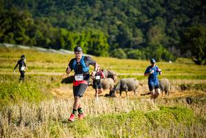 BIB: 2011
                            <button type="button" onclick="openModal(19128013)" class="btn btn-primary btn-sm float-right btn-popup" data-toggle="modal" data-target=".modal-high-quality">
                        <i class="fas fa-shopping-cart"></i> Add to Cart
                    </button>
                                            <button type="button" onclick="isThisMe(19128013, true)" class="btn btn-success btn-sm float-right btn-popup btn-isme hidden" data-toggle="tooltip" data-placement="bottom" title="นี่คือรูปของคุณใช่ไหม คลิกที่นี่เพื่อเอาเข้าอัลบั้ม">
                        <i class="fas fa-plus"></i> Add to album
                    </button>
                    <button type="button" onclick="isThisMe(19128013, false)" class="btn btn-warning btn-sm float-right btn-popup btn-isnotme hidden">
                        <i class="fas fa-ban"></i> Remove from album
                    </button>