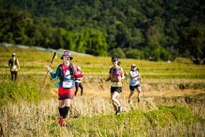 BIB: 1391, 
                            <button type="button" onclick="openModal(19129483)" class="btn btn-primary btn-sm float-right btn-popup" data-toggle="modal" data-target=".modal-high-quality">
                        <i class="fas fa-shopping-cart"></i> Add to Cart
                    </button>
                                            <button type="button" onclick="isThisMe(19129483, true)" class="btn btn-success btn-sm float-right btn-popup btn-isme hidden" data-toggle="tooltip" data-placement="bottom" title="นี่คือรูปของคุณใช่ไหม คลิกที่นี่เพื่อเอาเข้าอัลบั้ม">
                        <i class="fas fa-plus"></i> Add to album
                    </button>
                    <button type="button" onclick="isThisMe(19129483, false)" class="btn btn-warning btn-sm float-right btn-popup btn-isnotme hidden">
                        <i class="fas fa-ban"></i> Remove from album
                    </button>