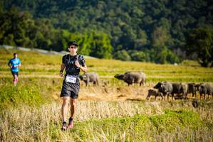 BIB: 1136, 
                            <button type="button" onclick="openModal(19127633)" class="btn btn-primary btn-sm float-right btn-popup" data-toggle="modal" data-target=".modal-high-quality">
                        <i class="fas fa-shopping-cart"></i> Add to Cart
                    </button>
                                            <button type="button" onclick="isThisMe(19127633, true)" class="btn btn-success btn-sm float-right btn-popup btn-isme hidden" data-toggle="tooltip" data-placement="bottom" title="นี่คือรูปของคุณใช่ไหม คลิกที่นี่เพื่อเอาเข้าอัลบั้ม">
                        <i class="fas fa-plus"></i> Add to album
                    </button>
                    <button type="button" onclick="isThisMe(19127633, false)" class="btn btn-warning btn-sm float-right btn-popup btn-isnotme hidden">
                        <i class="fas fa-ban"></i> Remove from album
                    </button>