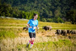 BIB: 
                            <button type="button" onclick="openModal(19127635)" class="btn btn-primary btn-sm float-right btn-popup" data-toggle="modal" data-target=".modal-high-quality">
                        <i class="fas fa-shopping-cart"></i> Add to Cart
                    </button>
                                            <button type="button" onclick="isThisMe(19127635, true)" class="btn btn-success btn-sm float-right btn-popup btn-isme hidden" data-toggle="tooltip" data-placement="bottom" title="นี่คือรูปของคุณใช่ไหม คลิกที่นี่เพื่อเอาเข้าอัลบั้ม">
                        <i class="fas fa-plus"></i> Add to album
                    </button>
                    <button type="button" onclick="isThisMe(19127635, false)" class="btn btn-warning btn-sm float-right btn-popup btn-isnotme hidden">
                        <i class="fas fa-ban"></i> Remove from album
                    </button>