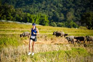 BIB: 1947
                            <button type="button" onclick="openModal(19127619)" class="btn btn-primary btn-sm float-right btn-popup" data-toggle="modal" data-target=".modal-high-quality">
                        <i class="fas fa-shopping-cart"></i> Add to Cart
                    </button>
                                            <button type="button" onclick="isThisMe(19127619, true)" class="btn btn-success btn-sm float-right btn-popup btn-isme hidden" data-toggle="tooltip" data-placement="bottom" title="นี่คือรูปของคุณใช่ไหม คลิกที่นี่เพื่อเอาเข้าอัลบั้ม">
                        <i class="fas fa-plus"></i> Add to album
                    </button>
                    <button type="button" onclick="isThisMe(19127619, false)" class="btn btn-warning btn-sm float-right btn-popup btn-isnotme hidden">
                        <i class="fas fa-ban"></i> Remove from album
                    </button>