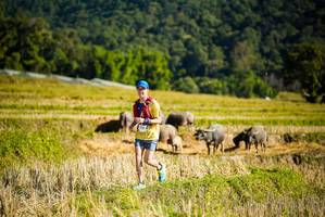 BIB: 
                            <button type="button" onclick="openModal(19127937)" class="btn btn-primary btn-sm float-right btn-popup" data-toggle="modal" data-target=".modal-high-quality">
                        <i class="fas fa-shopping-cart"></i> Add to Cart
                    </button>
                                            <button type="button" onclick="isThisMe(19127937, true)" class="btn btn-success btn-sm float-right btn-popup btn-isme hidden" data-toggle="tooltip" data-placement="bottom" title="นี่คือรูปของคุณใช่ไหม คลิกที่นี่เพื่อเอาเข้าอัลบั้ม">
                        <i class="fas fa-plus"></i> Add to album
                    </button>
                    <button type="button" onclick="isThisMe(19127937, false)" class="btn btn-warning btn-sm float-right btn-popup btn-isnotme hidden">
                        <i class="fas fa-ban"></i> Remove from album
                    </button>