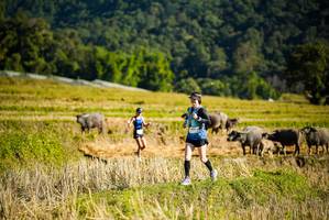 BIB: 
                            <button type="button" onclick="openModal(19127590)" class="btn btn-primary btn-sm float-right btn-popup" data-toggle="modal" data-target=".modal-high-quality">
                        <i class="fas fa-shopping-cart"></i> Add to Cart
                    </button>
                                            <button type="button" onclick="isThisMe(19127590, true)" class="btn btn-success btn-sm float-right btn-popup btn-isme hidden" data-toggle="tooltip" data-placement="bottom" title="นี่คือรูปของคุณใช่ไหม คลิกที่นี่เพื่อเอาเข้าอัลบั้ม">
                        <i class="fas fa-plus"></i> Add to album
                    </button>
                    <button type="button" onclick="isThisMe(19127590, false)" class="btn btn-warning btn-sm float-right btn-popup btn-isnotme hidden">
                        <i class="fas fa-ban"></i> Remove from album
                    </button>