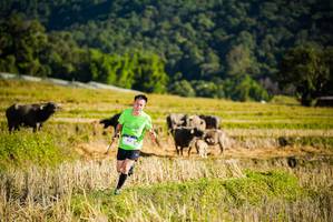 BIB: 
                            <button type="button" onclick="openModal(19127389)" class="btn btn-primary btn-sm float-right btn-popup" data-toggle="modal" data-target=".modal-high-quality">
                        <i class="fas fa-shopping-cart"></i> Add to Cart
                    </button>
                                            <button type="button" onclick="isThisMe(19127389, true)" class="btn btn-success btn-sm float-right btn-popup btn-isme hidden" data-toggle="tooltip" data-placement="bottom" title="นี่คือรูปของคุณใช่ไหม คลิกที่นี่เพื่อเอาเข้าอัลบั้ม">
                        <i class="fas fa-plus"></i> Add to album
                    </button>
                    <button type="button" onclick="isThisMe(19127389, false)" class="btn btn-warning btn-sm float-right btn-popup btn-isnotme hidden">
                        <i class="fas fa-ban"></i> Remove from album
                    </button>