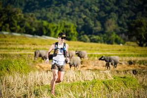 BIB: 
                            <button type="button" onclick="openModal(19127476)" class="btn btn-primary btn-sm float-right btn-popup" data-toggle="modal" data-target=".modal-high-quality">
                        <i class="fas fa-shopping-cart"></i> Add to Cart
                    </button>
                                            <button type="button" onclick="isThisMe(19127476, true)" class="btn btn-success btn-sm float-right btn-popup btn-isme hidden" data-toggle="tooltip" data-placement="bottom" title="นี่คือรูปของคุณใช่ไหม คลิกที่นี่เพื่อเอาเข้าอัลบั้ม">
                        <i class="fas fa-plus"></i> Add to album
                    </button>
                    <button type="button" onclick="isThisMe(19127476, false)" class="btn btn-warning btn-sm float-right btn-popup btn-isnotme hidden">
                        <i class="fas fa-ban"></i> Remove from album
                    </button>